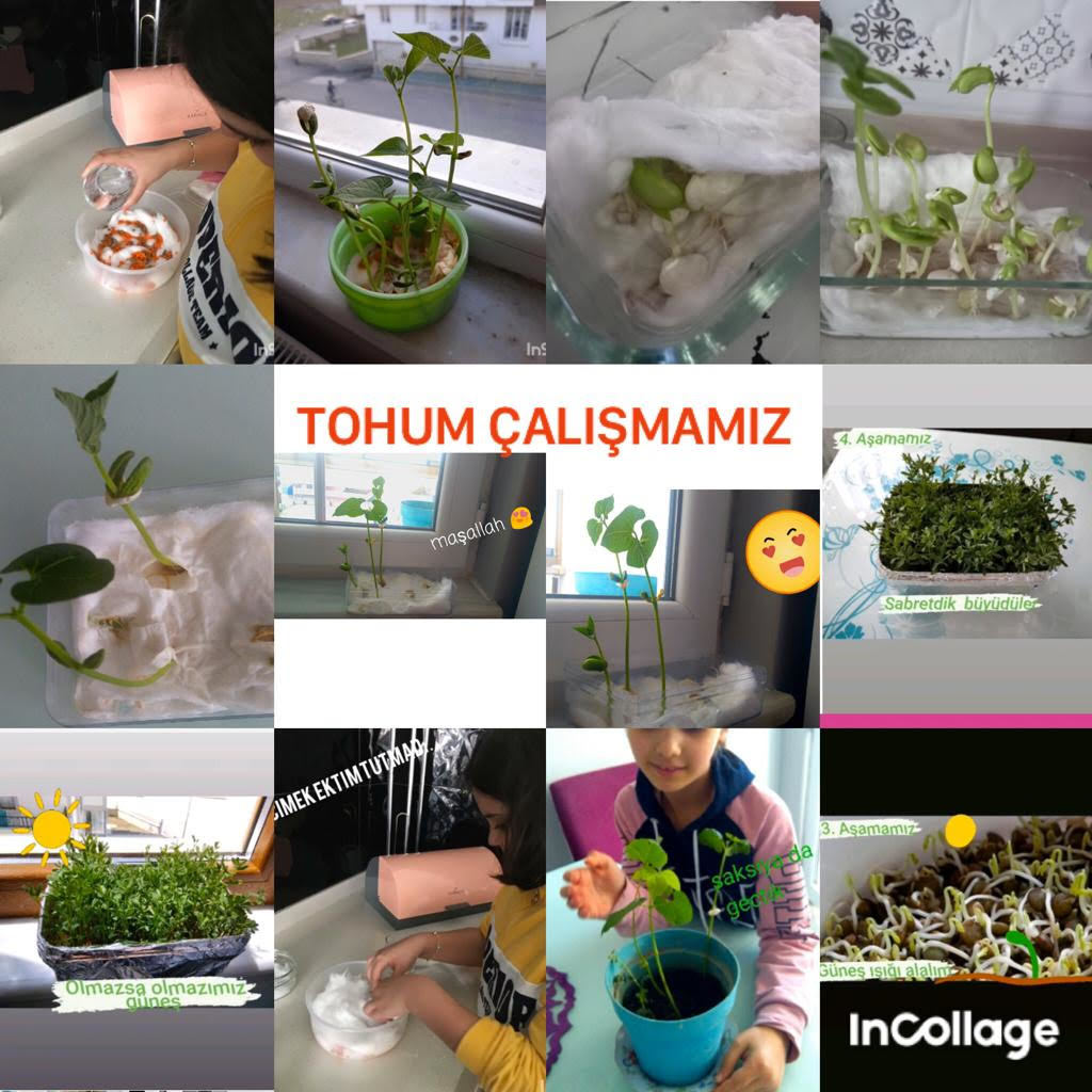 MAYIS AYI ATÖLYE ÇALIŞMALARI by Elif GÜMÜŞKAYA - Ourboox.com