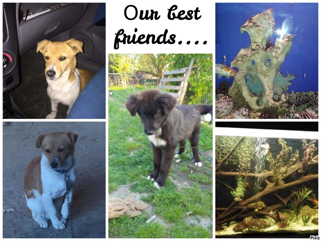 The Stars of English / Calender 2021 by Ömür Aracı - Ourboox.com