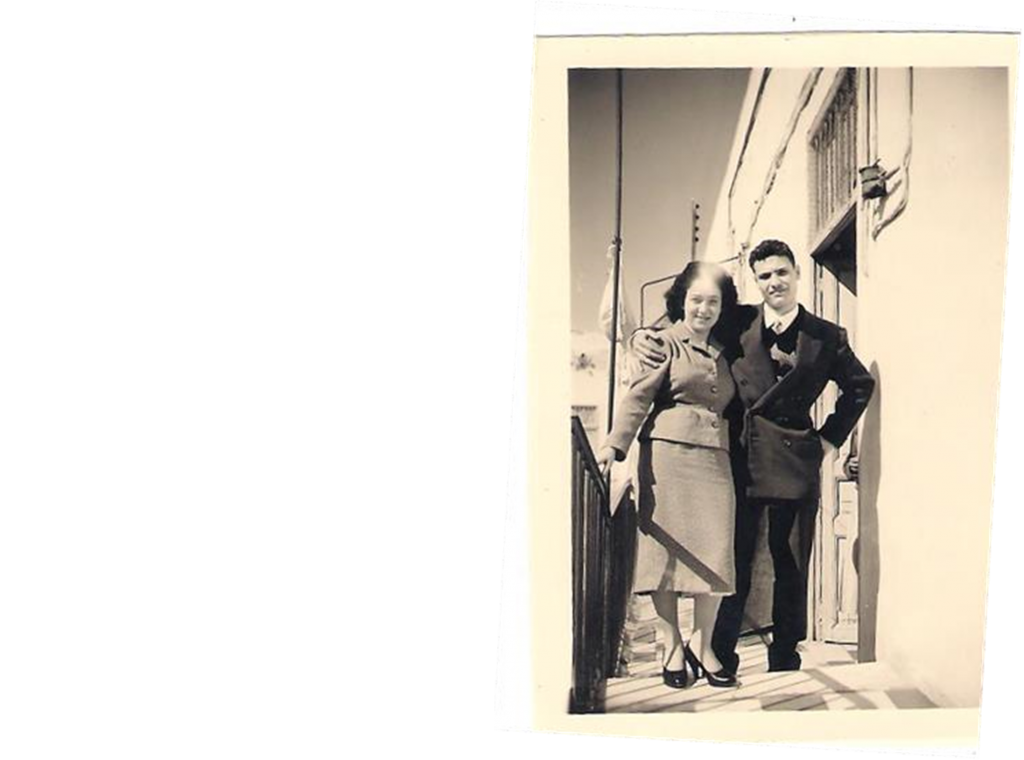 עבודת שורשים על שי חגאג by shay hagag - Ourboox.com