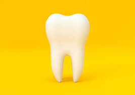 food by leyla - Ourboox.com