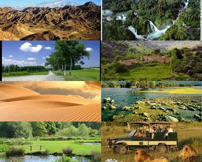 البيئة الحياتية by yamen - Ourboox.com