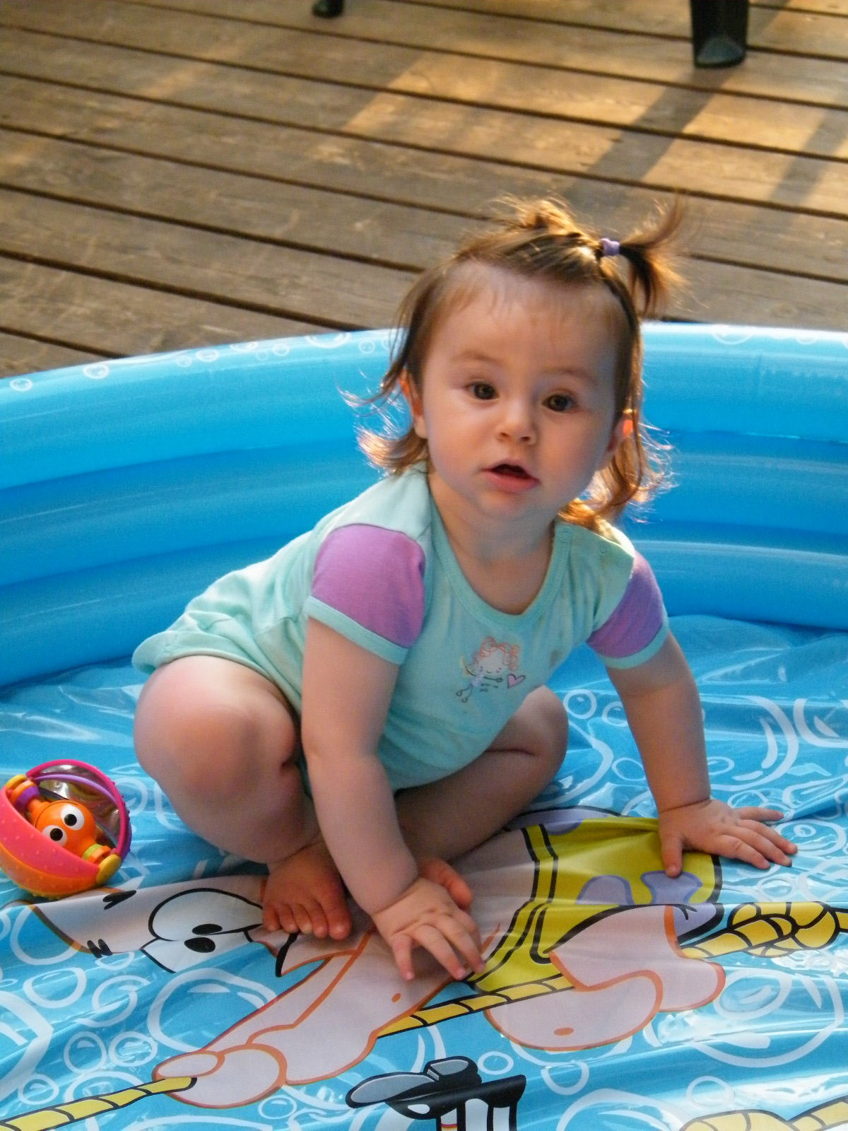 יעל דויטש עבודת שורשים by yael deutsch - Ourboox.com