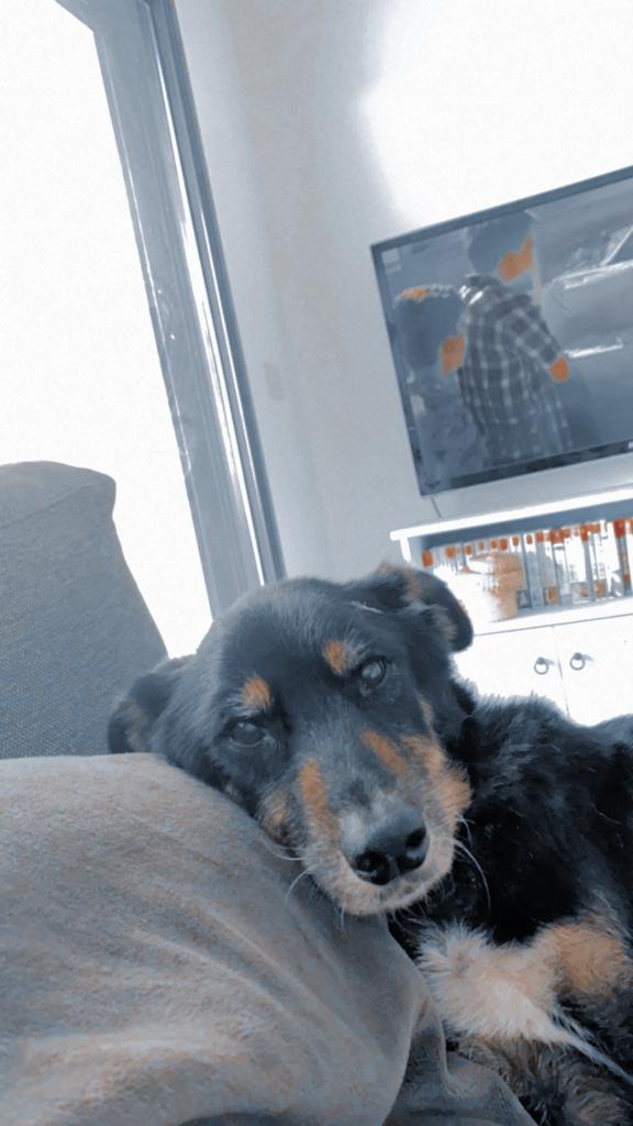 יעל דויטש עבודת שורשים by yael deutsch - Ourboox.com