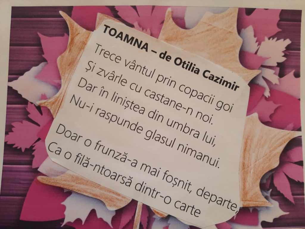 Anotimpurile prin ochi de copil by Alexia Ispas - Ourboox.com