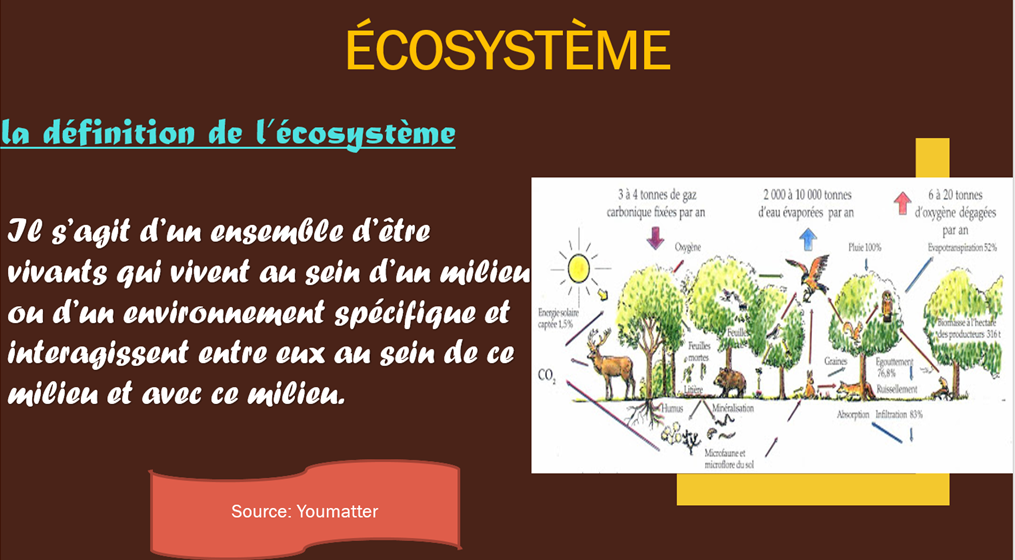 Mon porte-folio d’informatique by Marwa - Ourboox.com