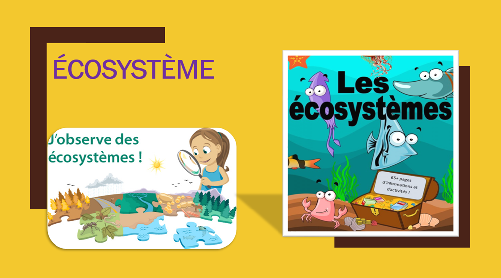 Mon porte-folio d’informatique by Marwa - Ourboox.com