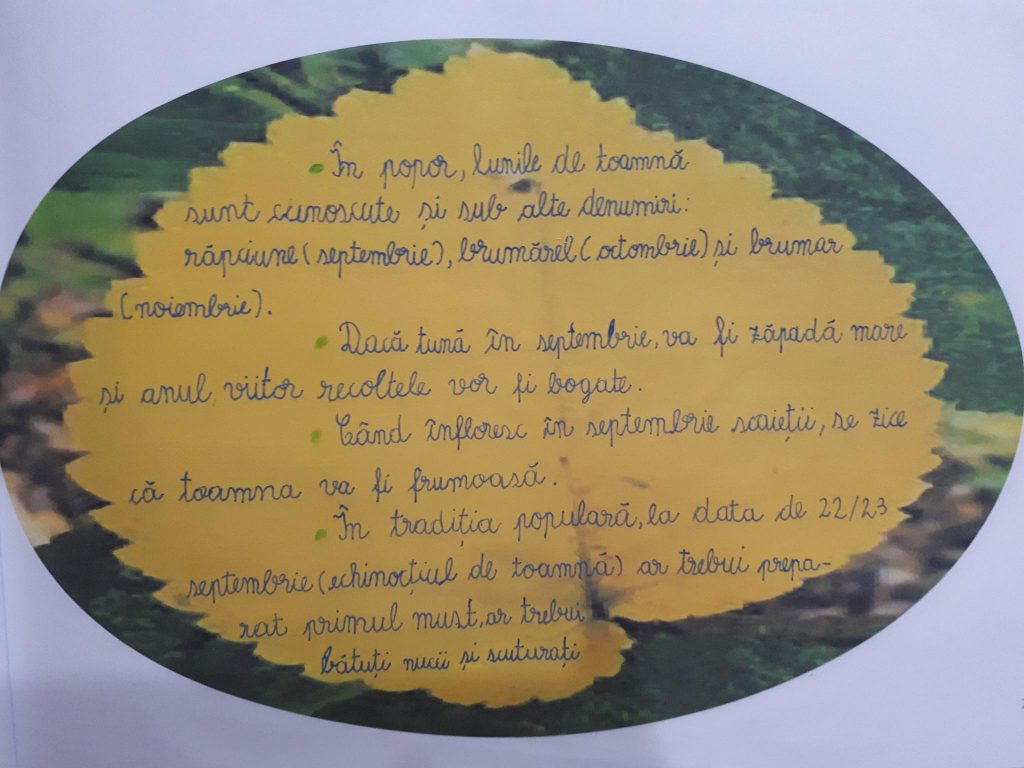 “ANOTIMPURILE PRIN OCHI DE COPIL” by NEAMTU DAVID - Ourboox.com