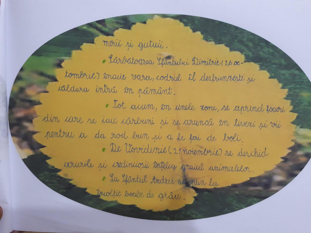 “ANOTIMPURILE PRIN OCHI DE COPIL” by NEAMTU DAVID - Ourboox.com