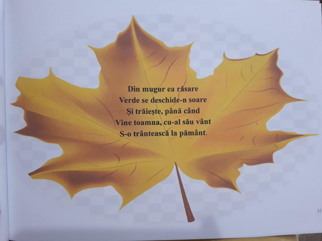 “ANOTIMPURILE PRIN OCHI DE COPIL” by NEAMTU DAVID - Ourboox.com