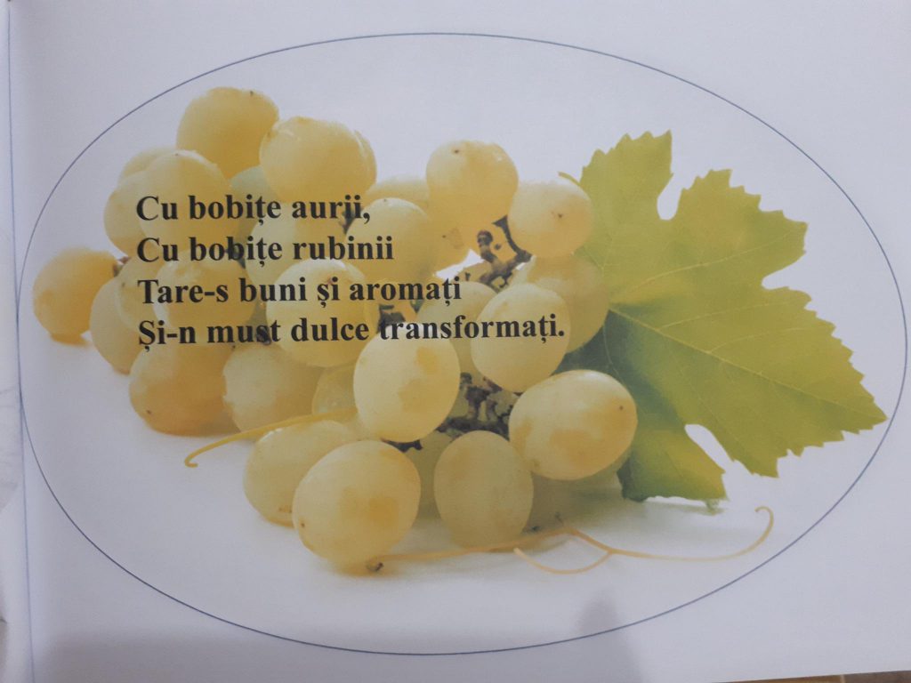 “ANOTIMPURILE PRIN OCHI DE COPIL” by NEAMTU DAVID - Ourboox.com