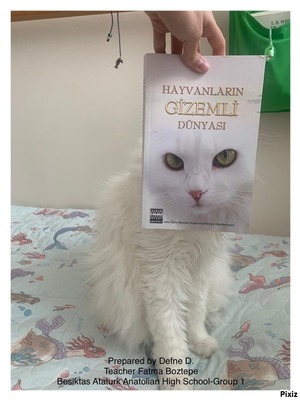 BEŞİTAŞ ATATÜRK ANATOLIAN HIGH SCHOOL THE MUSEUM OF BROKEN HEARTS BECOME ONE WITH THE BOOK PHOTO ALBUM by Defne - Ourboox.com