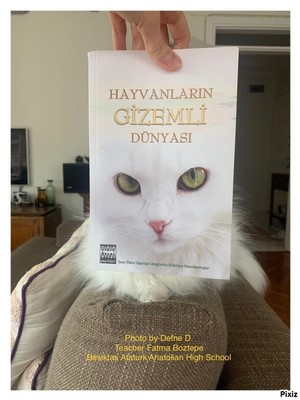 BEŞİTAŞ ATATÜRK ANATOLIAN HIGH SCHOOL THE MUSEUM OF BROKEN HEARTS BECOME ONE WITH THE BOOK PHOTO ALBUM by Defne - Ourboox.com