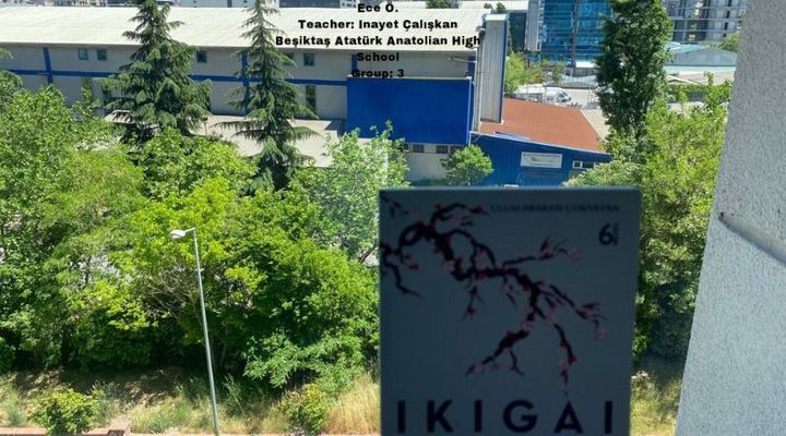 BEŞİTAŞ ATATÜRK ANATOLIAN HIGH SCHOOL THE MUSEUM OF BROKEN HEARTS BECOME ONE WITH THE BOOK PHOTO ALBUM by Defne - Ourboox.com