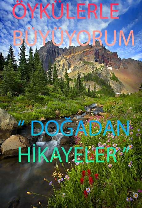 ÖYKÜLERLE BÜYÜYORUM – DOĞADAN HİKAYELER by Emel Kayacı - Ourboox.com