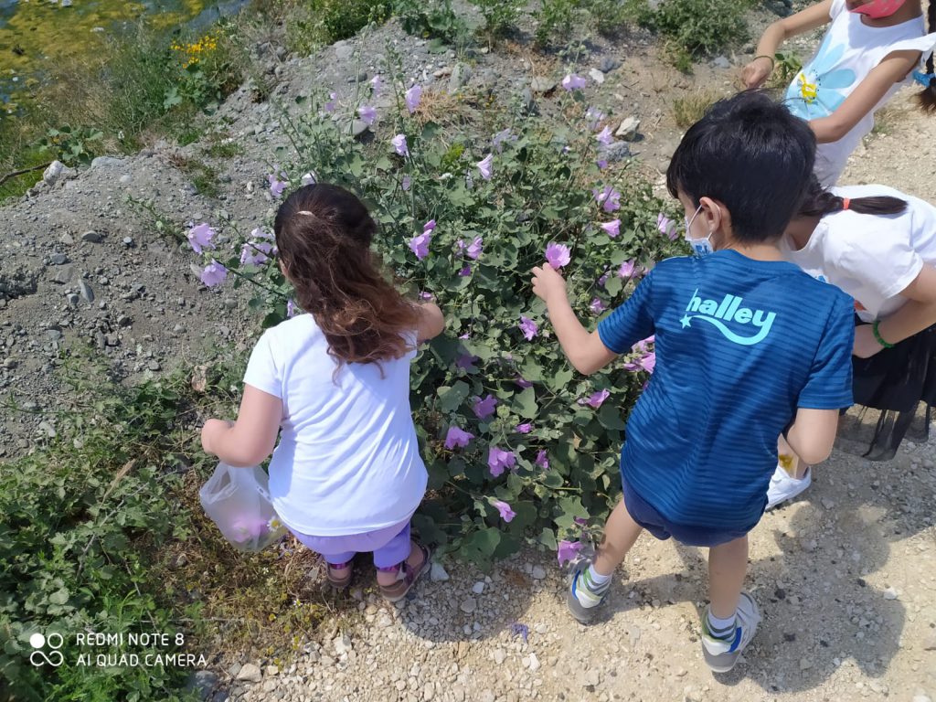 ÖYKÜLERLE BÜYÜYORUM – DOĞADAN HİKAYELER by Emel Kayacı - Ourboox.com