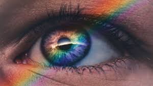 לראות את האחר by hodaya rozen - Ourboox.com