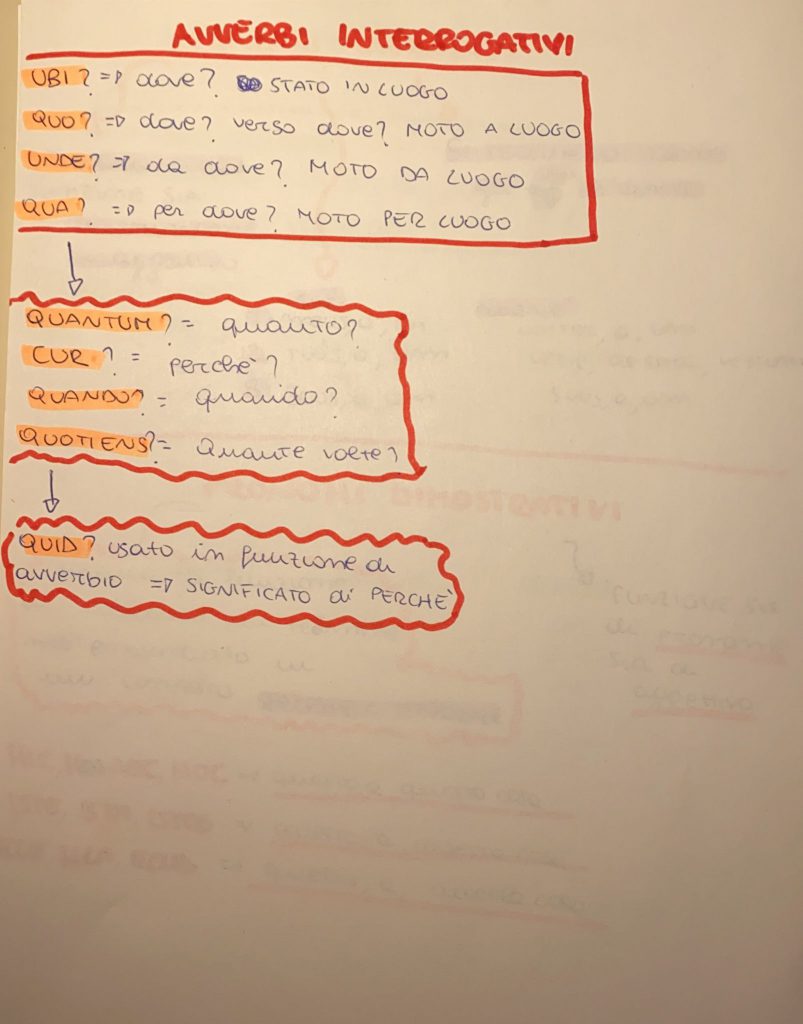 BOOK LATINO MARTINA MENZELLA by MARTINA MENZELLA - Ourboox.com