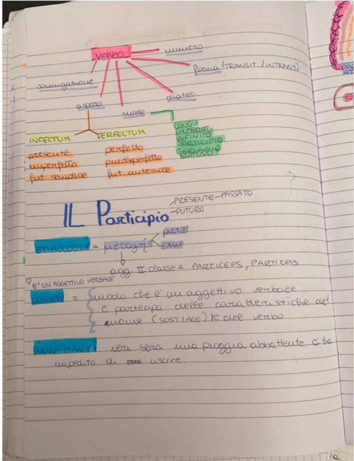 BOOK LATINO MARTINA MENZELLA by MARTINA MENZELLA - Ourboox.com