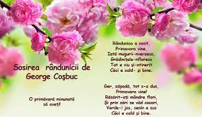 Anotimpurile prin ochi de copil by Alexia Ispas - Ourboox.com