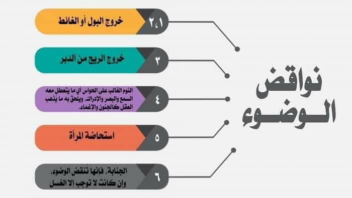 الوضوء للصف العاشر by sami alasam - Ourboox.com