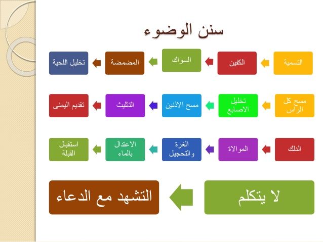 الوضوء للصف العاشر by sami alasam - Ourboox.com