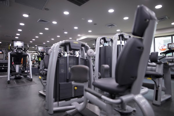 Journal by Ariel Benita - Ourboox.com