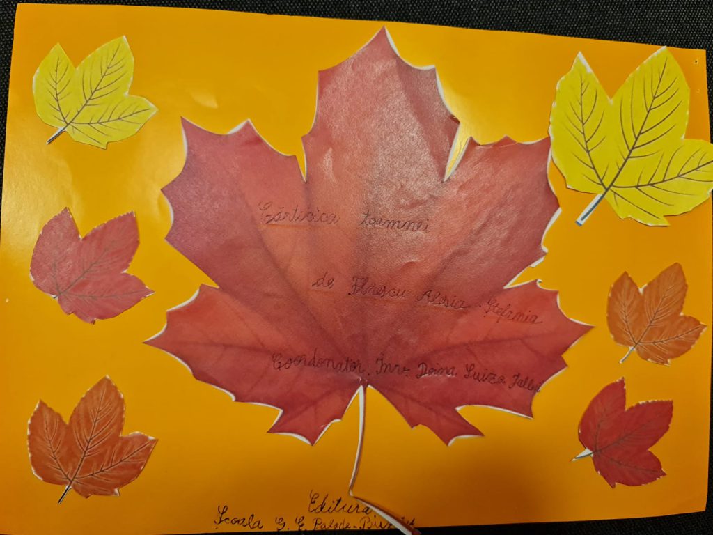 Anotimpuri prin ochi de copil by Florescu Alesia Stefania - Ourboox.com