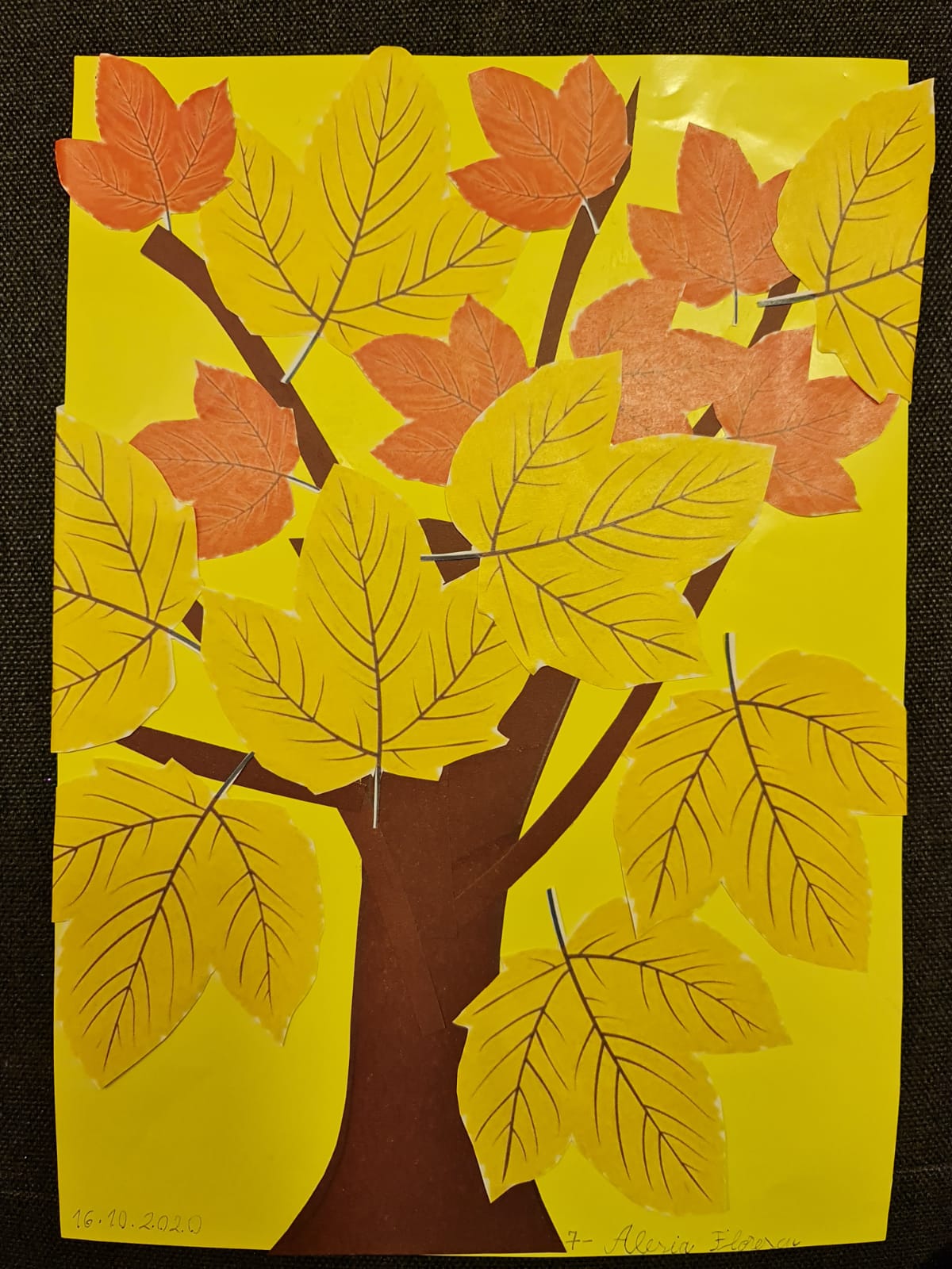 Anotimpuri prin ochi de copil by Florescu Alesia Stefania - Ourboox.com