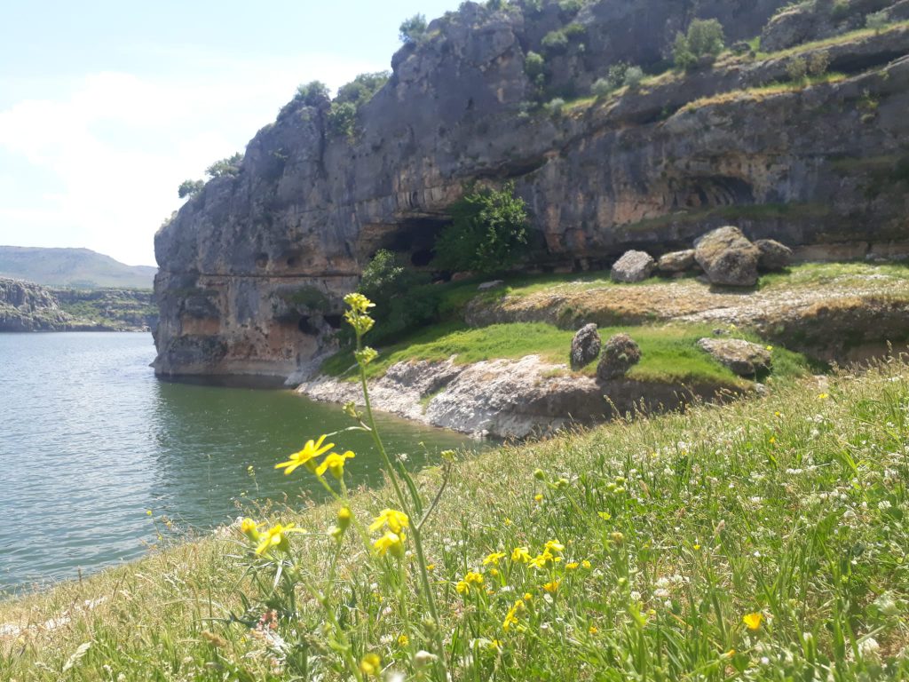 Blogger Ödevine İlişkin Görüşler-DEDO ASLAN by DEDO ASLAN - Illustrated by DEDO ASLAN - Ourboox.com