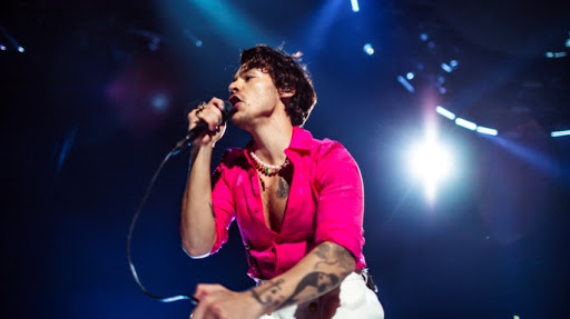 Harry Styles by Teresa Panebianco - Illustrated by Teresa - Ourboox.com