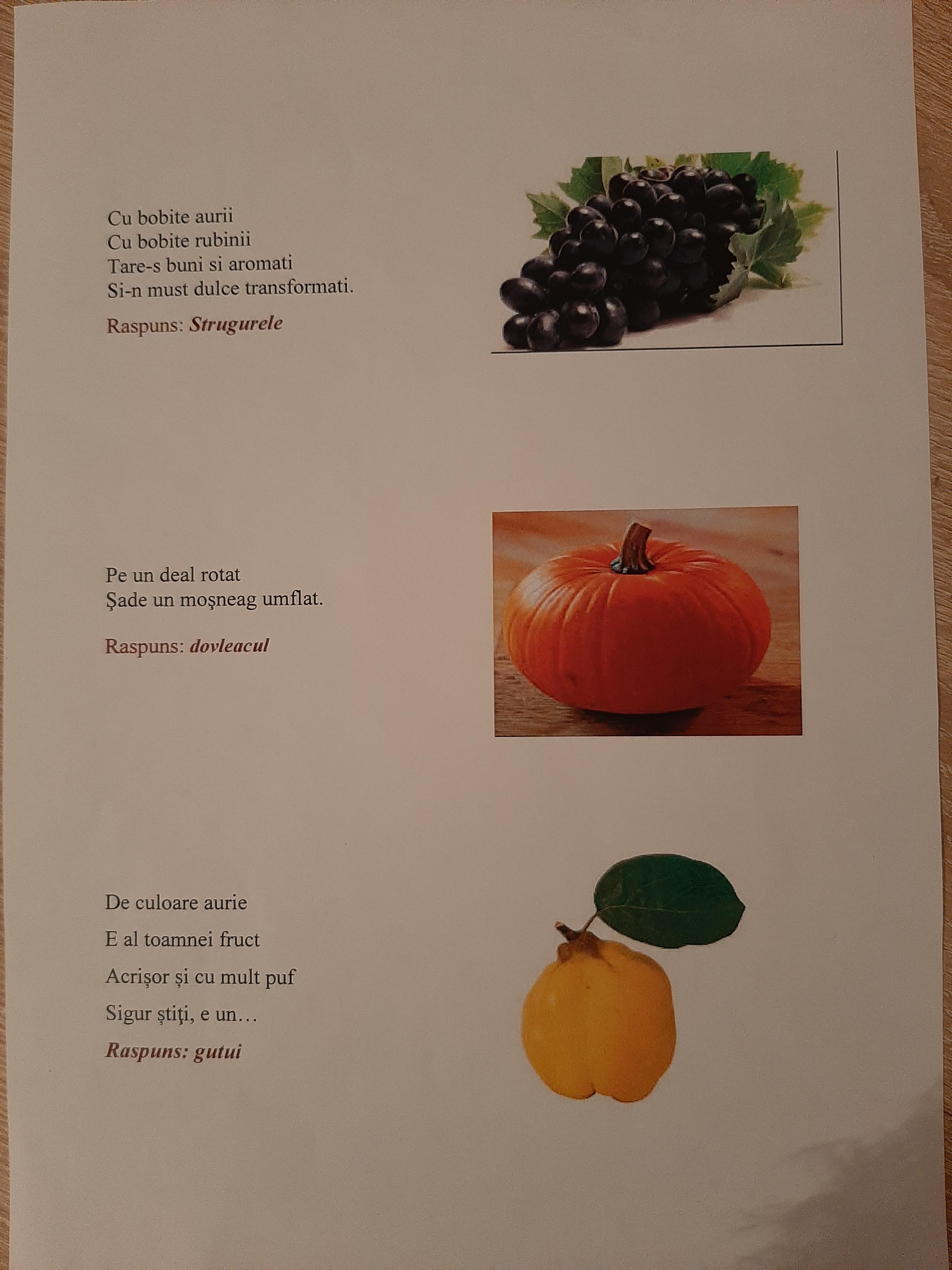 ANOTIMPURILE PRIN OCHI DE COPIL by IOANA SIMIONESCU - Ourboox.com