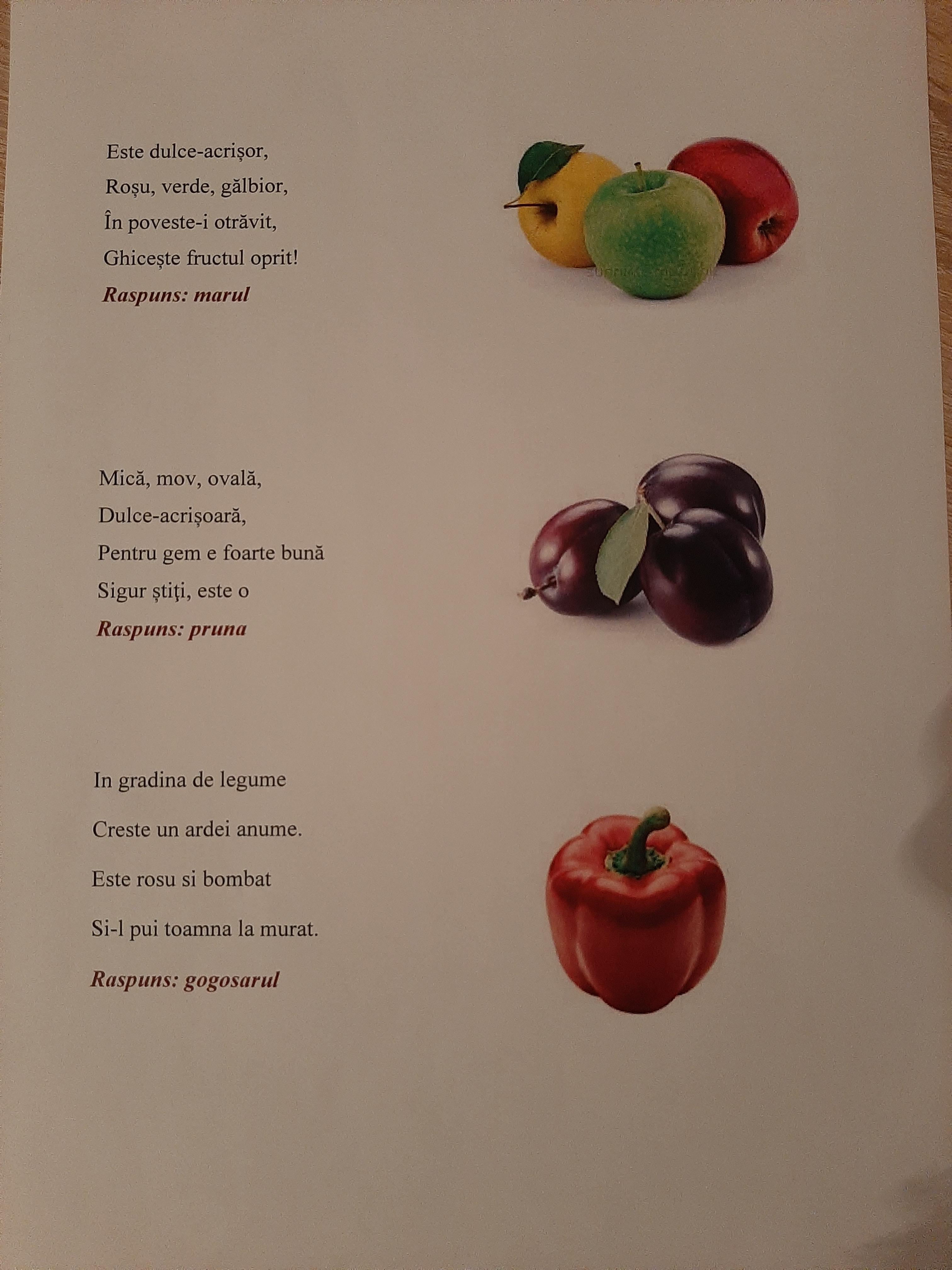 ANOTIMPURILE PRIN OCHI DE COPIL by IOANA SIMIONESCU - Ourboox.com