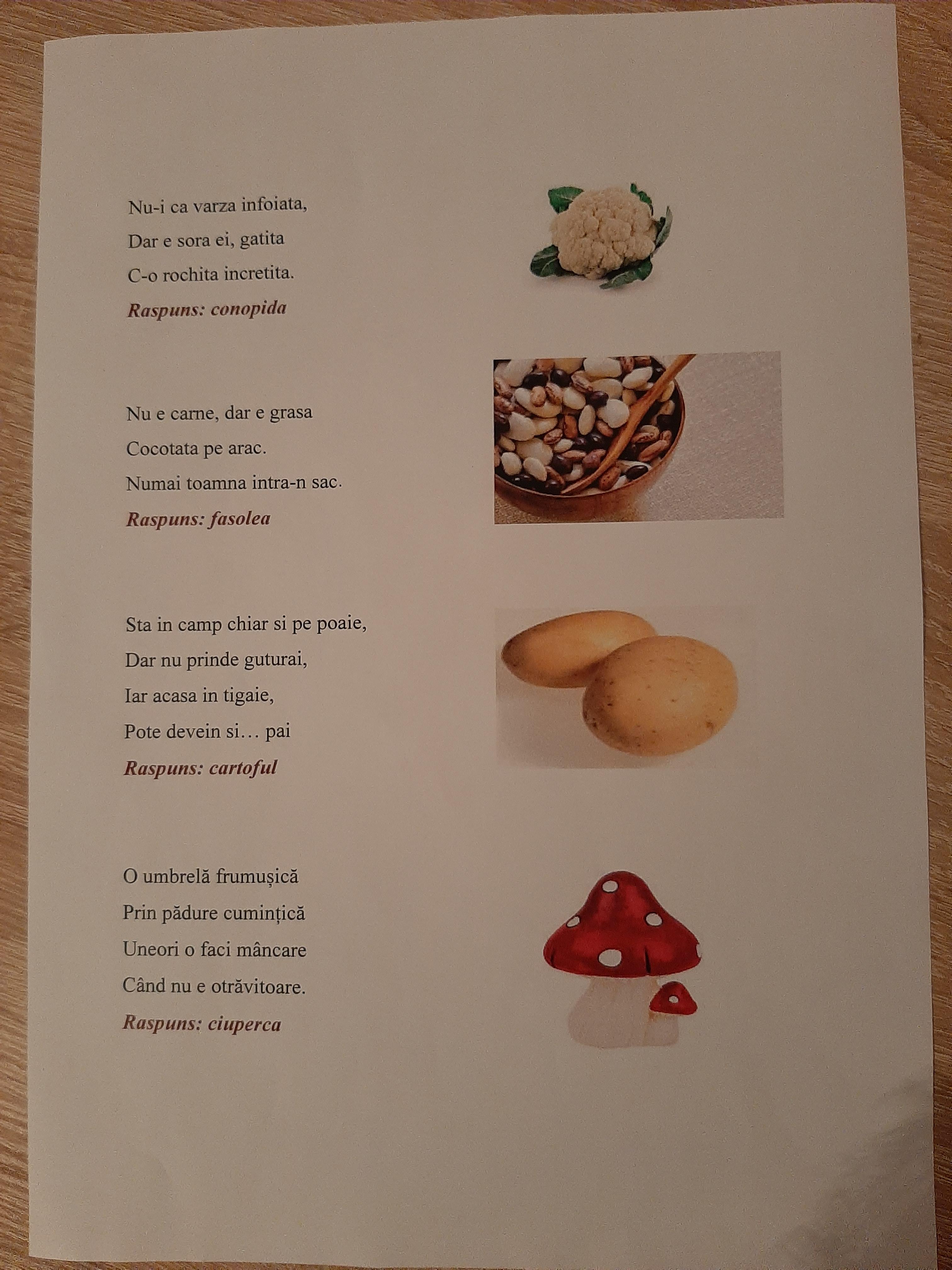 ANOTIMPURILE PRIN OCHI DE COPIL by IOANA SIMIONESCU - Ourboox.com