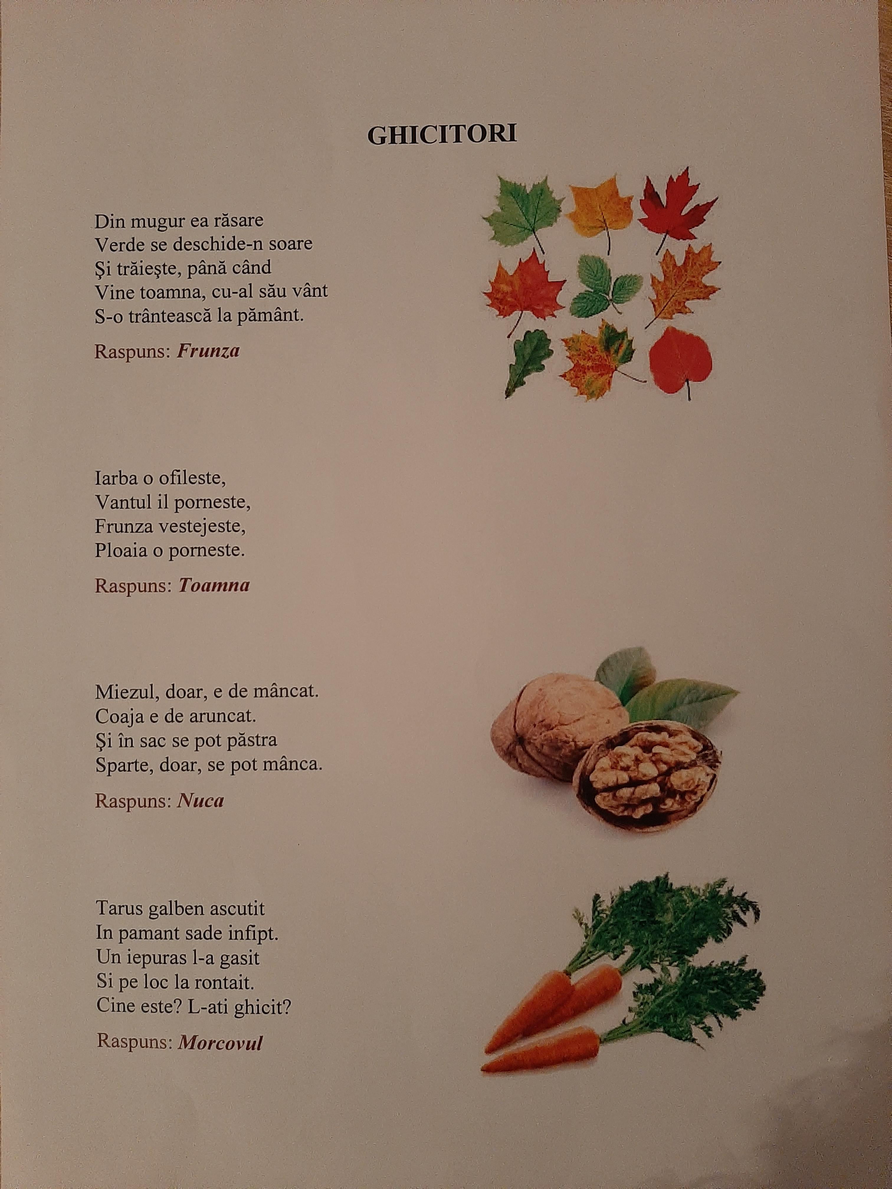 ANOTIMPURILE PRIN OCHI DE COPIL by IOANA SIMIONESCU - Ourboox.com