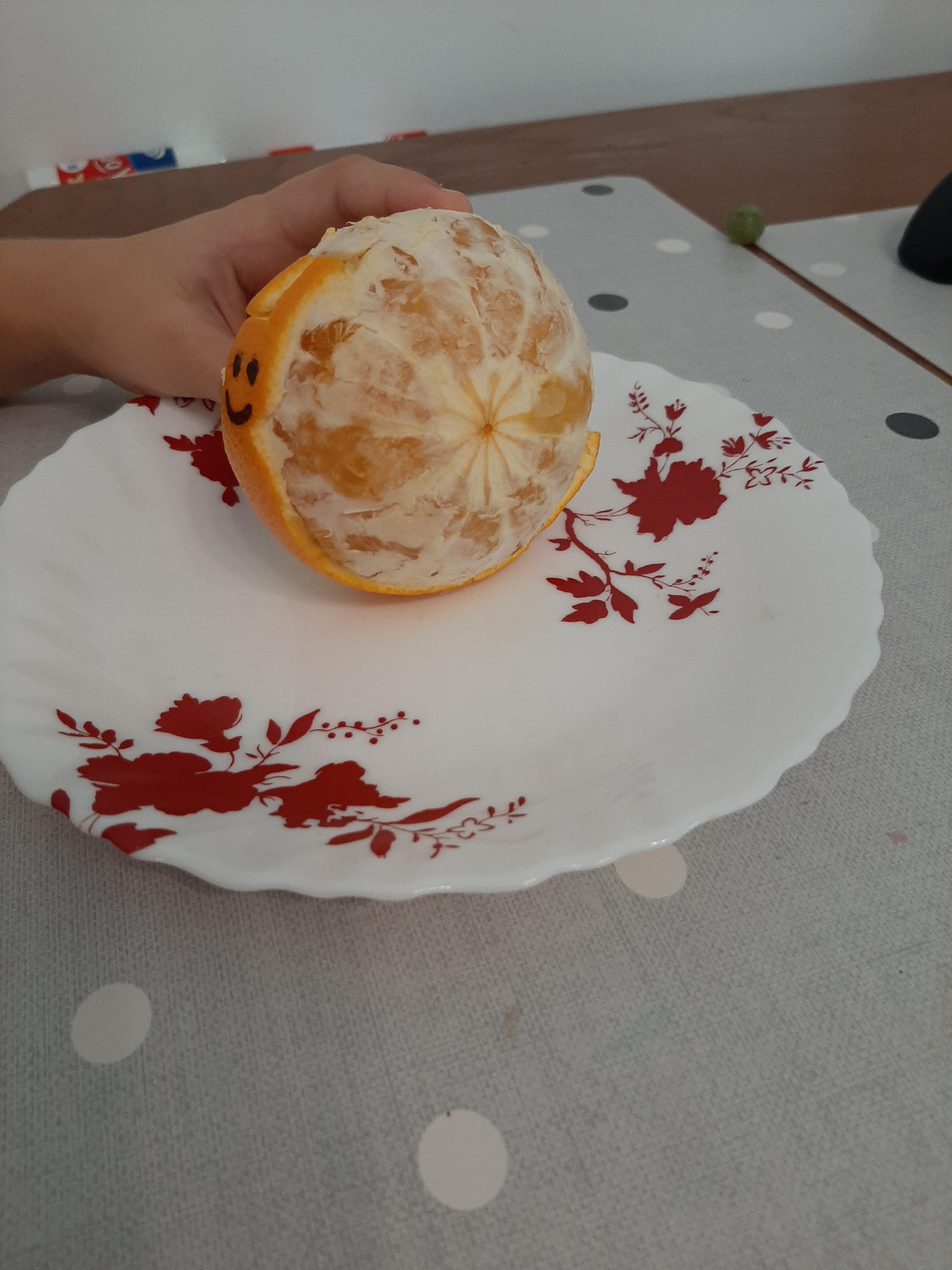 ANOTIMPURILE PRIN OCHI DE COPIL by IOANA SIMIONESCU - Ourboox.com