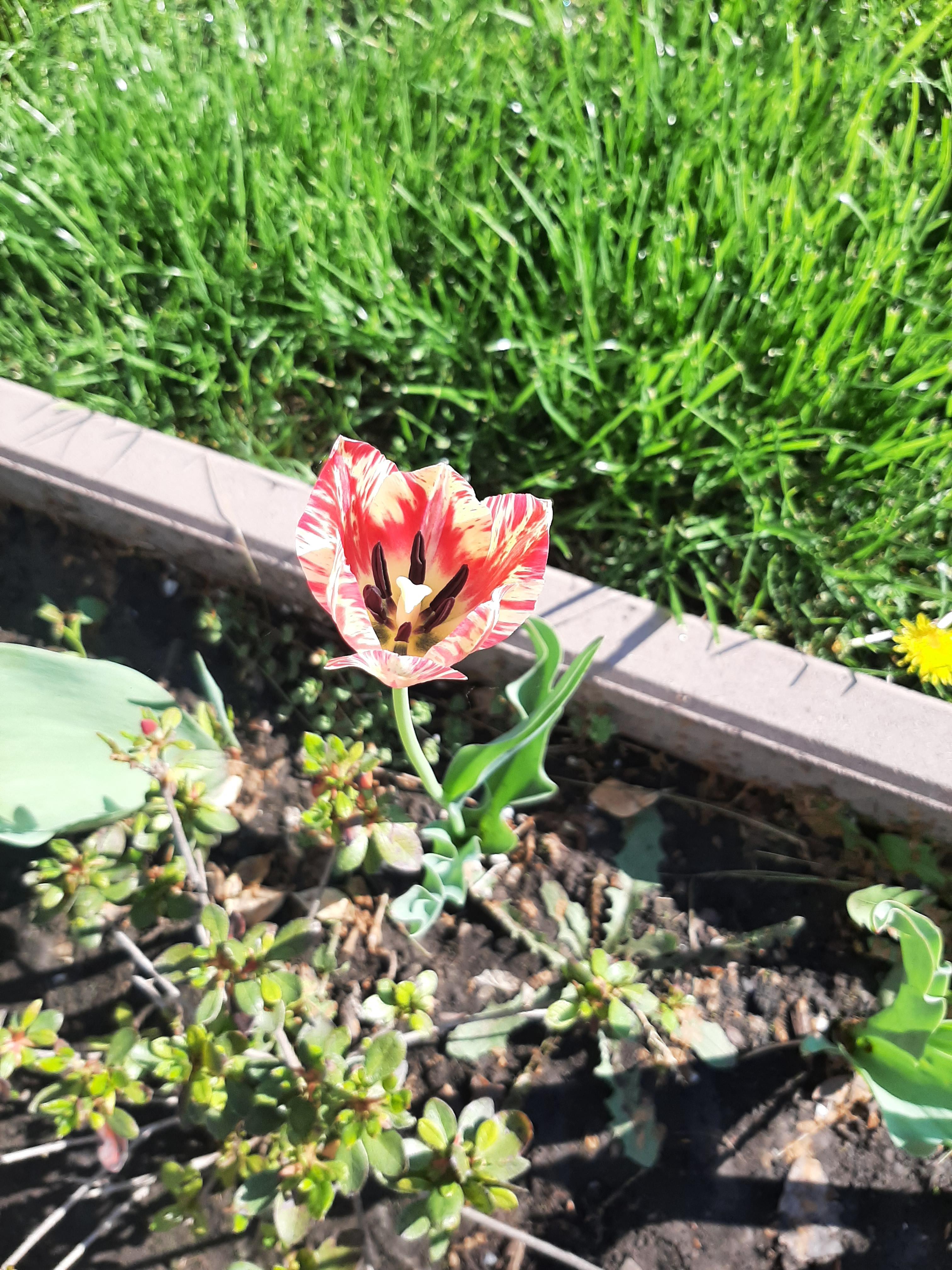 ANOTIMPURILE PRIN OCHI DE COPIL by IOANA SIMIONESCU - Ourboox.com