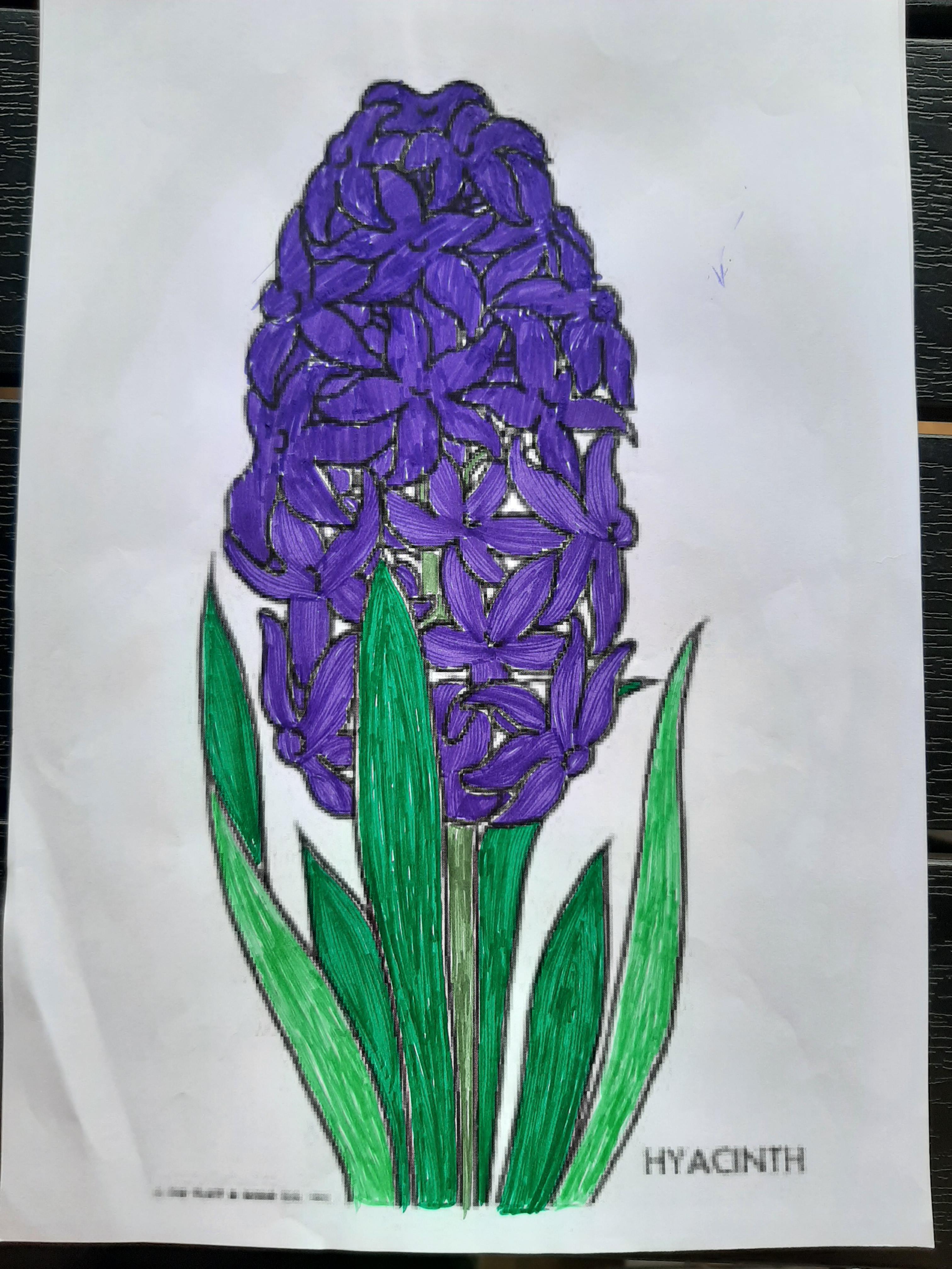 ANOTIMPURILE PRIN OCHI DE COPIL by IOANA SIMIONESCU - Ourboox.com