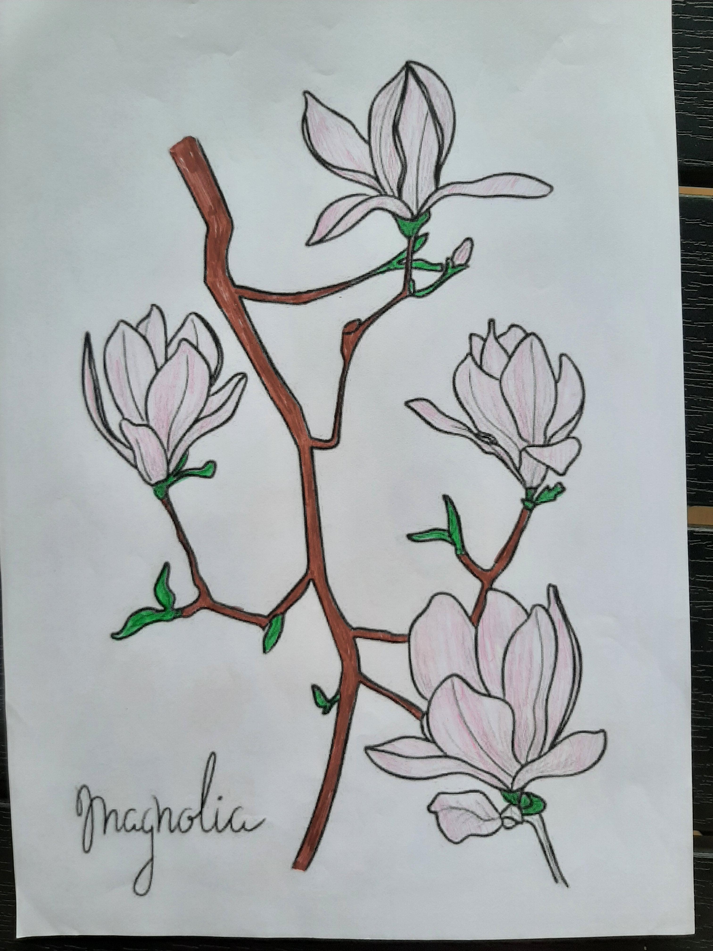 ANOTIMPURILE PRIN OCHI DE COPIL by IOANA SIMIONESCU - Ourboox.com