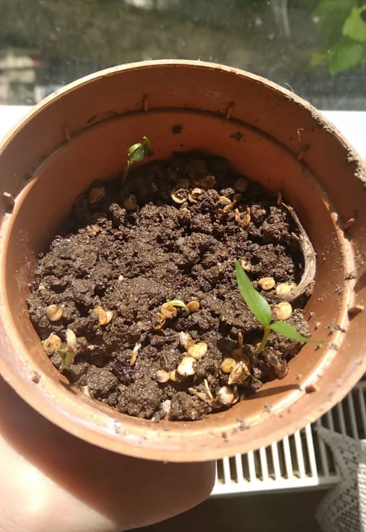 Namık kemal secondry school by Namık kemal secondry school - Ourboox.com