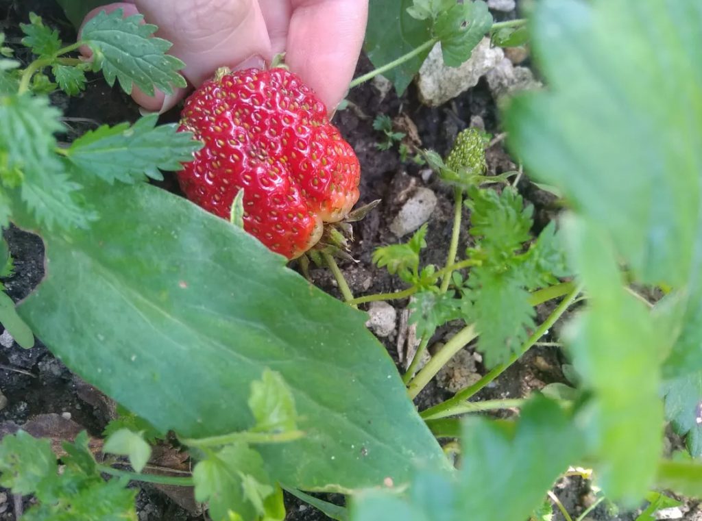 Namık kemal secondry school by Namık kemal secondry school - Ourboox.com