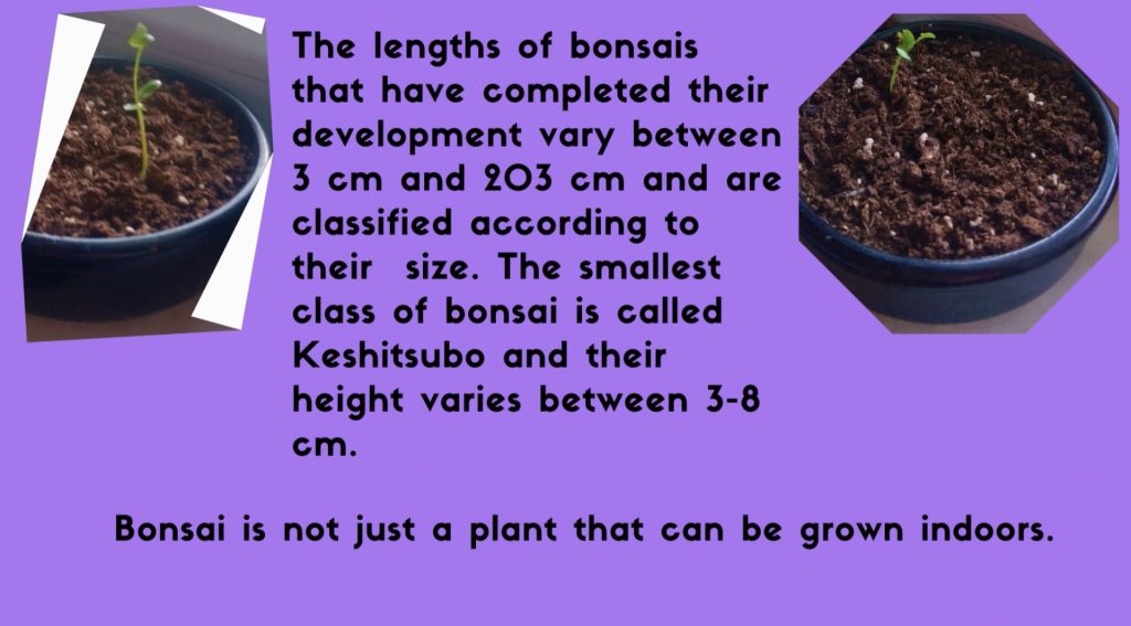 Namık kemal secondry school by Namık kemal secondry school - Ourboox.com