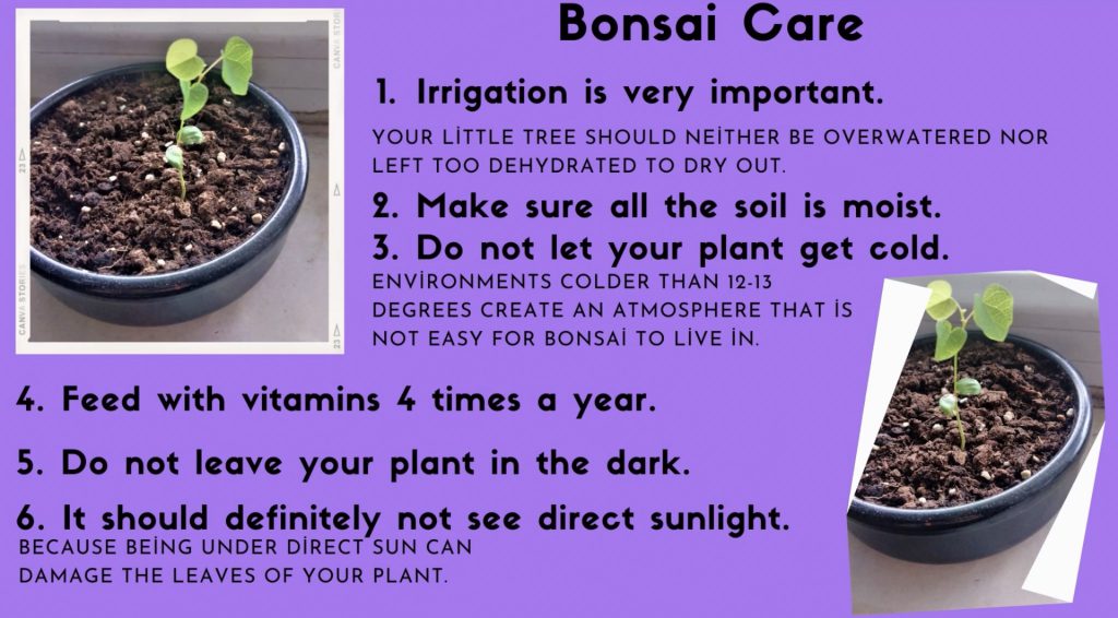 Namık kemal secondry school by Namık kemal secondry school - Ourboox.com