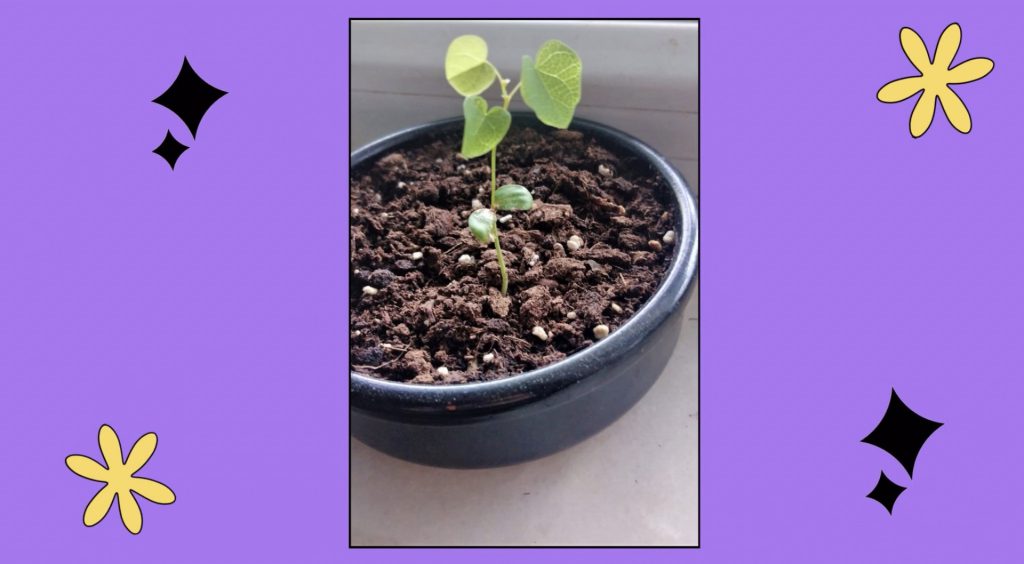 Namık kemal secondry school by Namık kemal secondry school - Ourboox.com