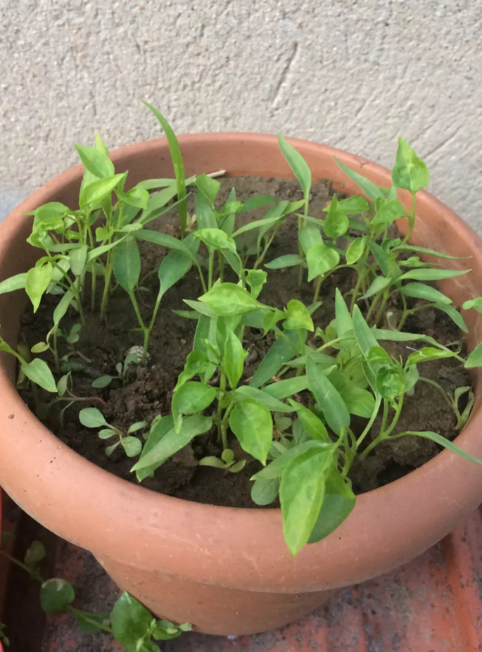 Namık kemal secondry school by Namık kemal secondry school - Ourboox.com