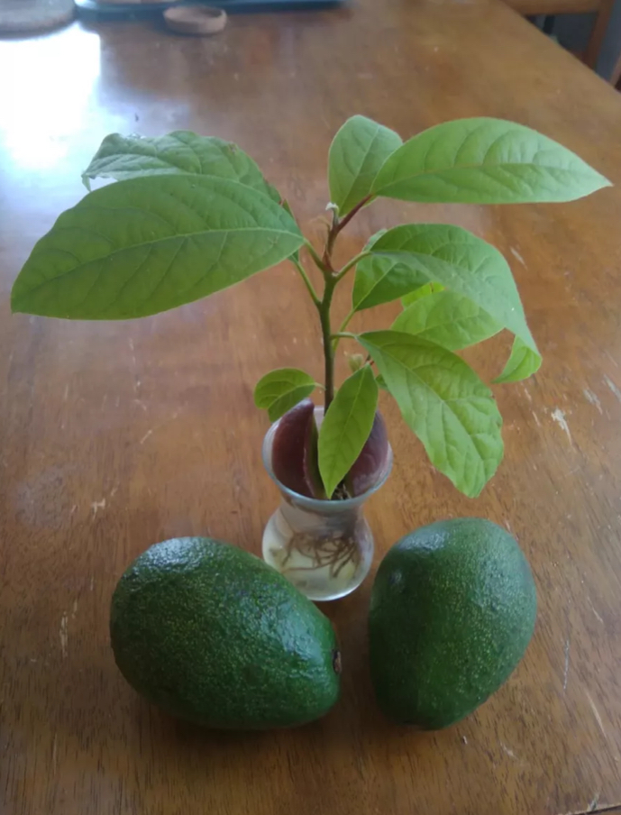 Namık kemal secondry school by Namık kemal secondry school - Ourboox.com