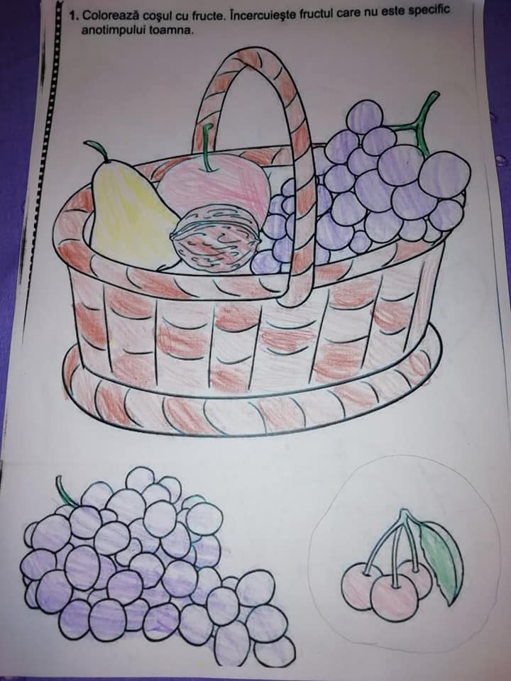 Anotimpurile prin ochi de copil – de Maria Ionescu by ionescu - Ourboox.com