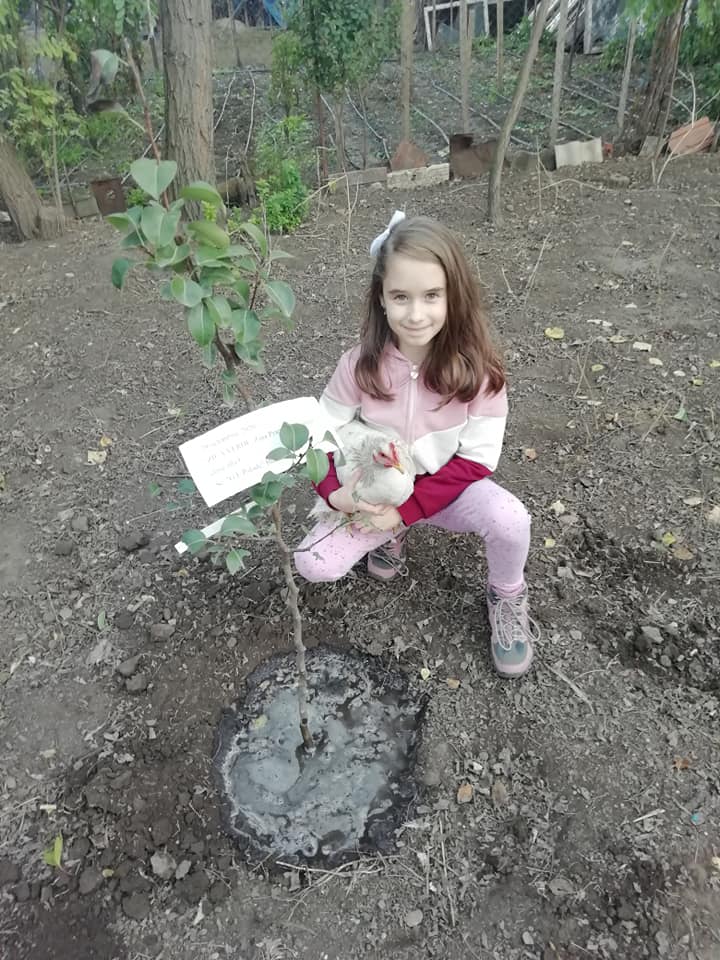 Anotimpurile prin ochi de copil – de Maria Ionescu by ionescu - Ourboox.com