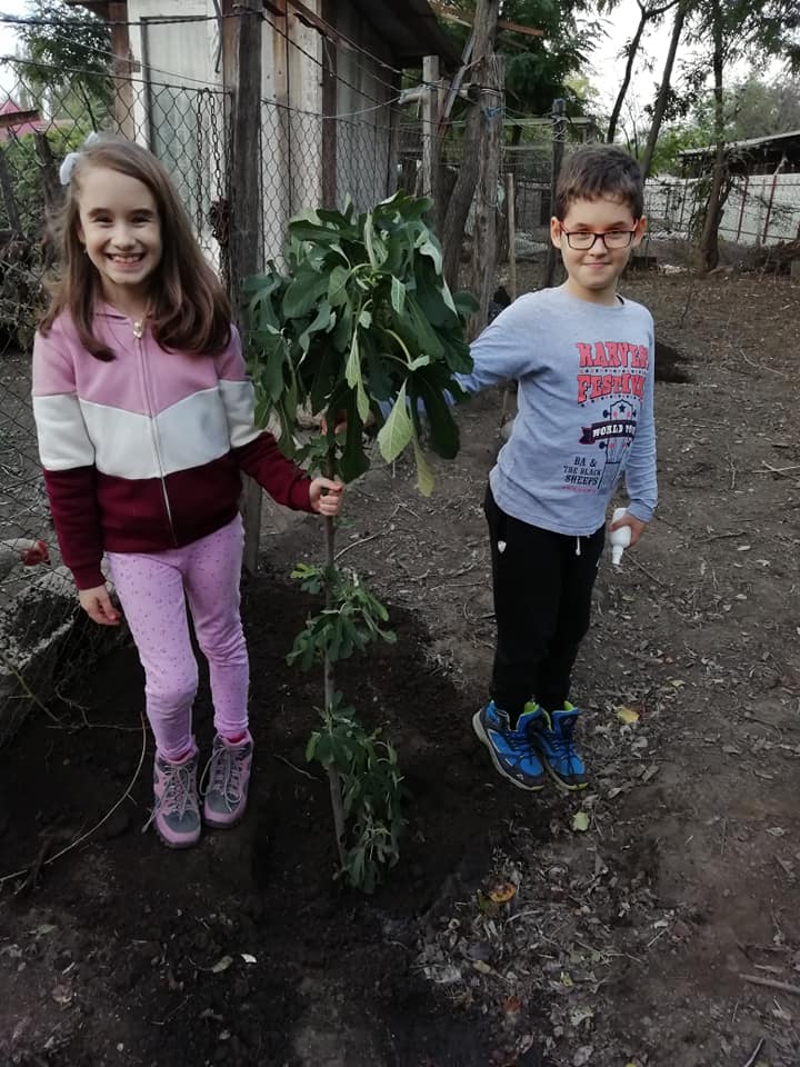 Anotimpurile prin ochi de copil – de Maria Ionescu by ionescu - Ourboox.com