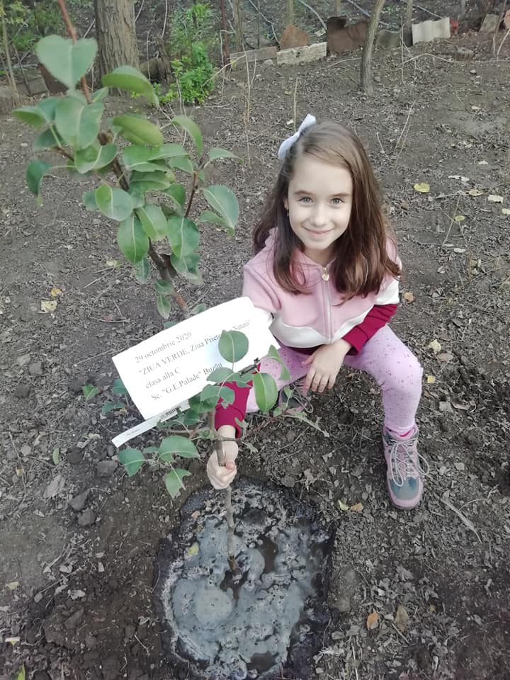 Anotimpurile prin ochi de copil – de Maria Ionescu by ionescu - Ourboox.com