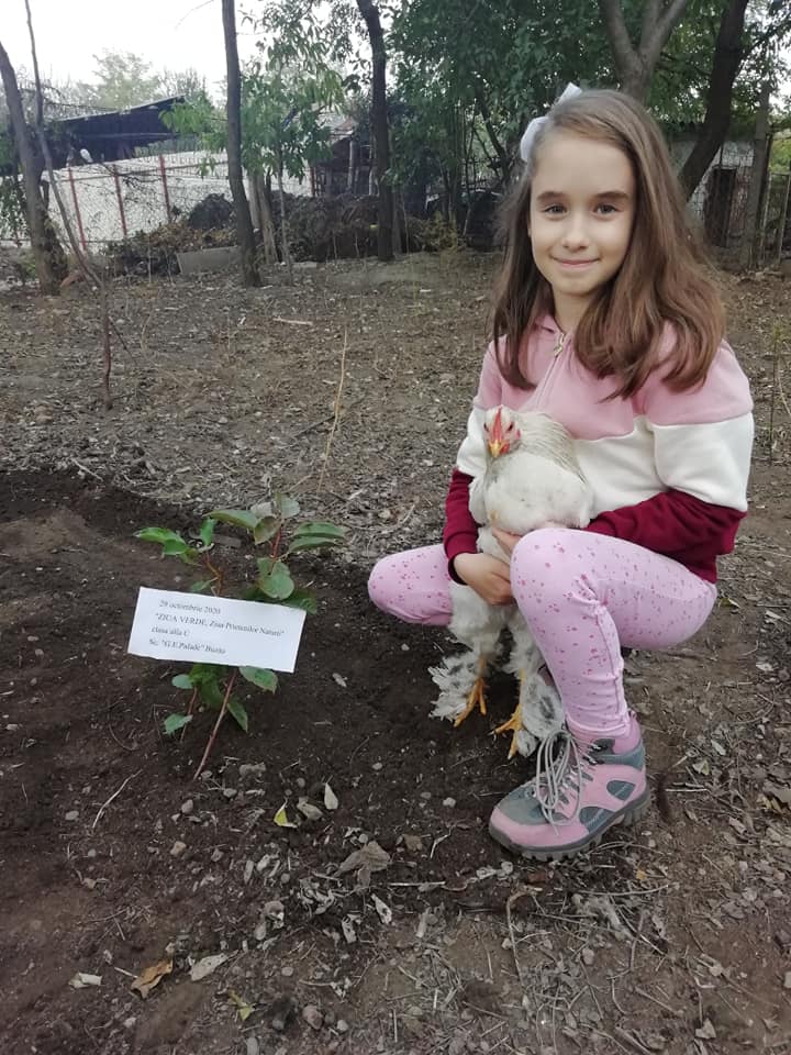 Anotimpurile prin ochi de copil – de Maria Ionescu by ionescu - Ourboox.com